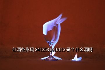 紅酒條形碼 8412531010113 是個什么酒啊