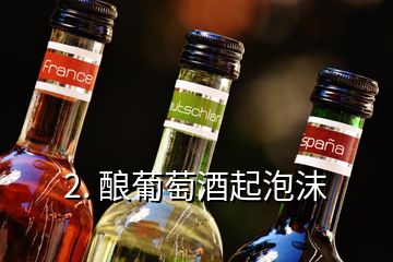 2. 釀葡萄酒起泡沫