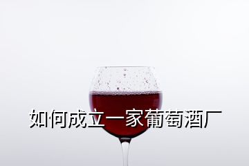 如何成立一家葡萄酒廠