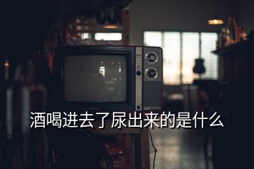 酒喝進(jìn)去了尿出來(lái)的是什么