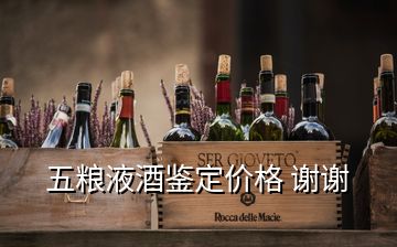 五糧液酒鑒定價格 謝謝