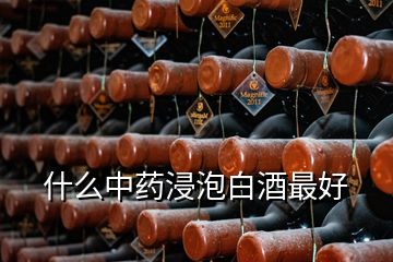 什么中藥浸泡白酒最好