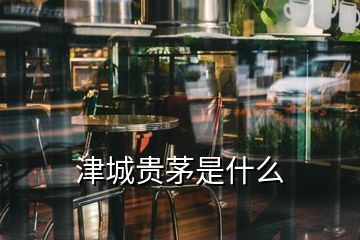 津城貴茅是什么