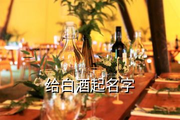 給白酒起名字