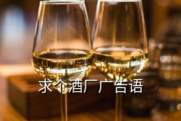 求個(gè)酒廠廣告語