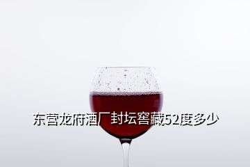 東營(yíng)龍府酒廠封壇窖藏52度多少