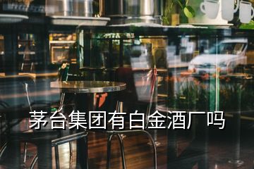 茅臺(tái)集團(tuán)有白金酒廠嗎