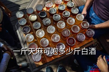 一斤天麻可泡多少斤白酒