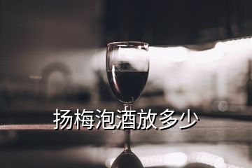 揚(yáng)梅泡酒放多少