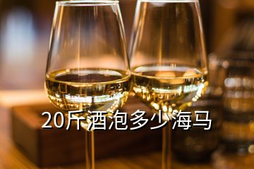 20斤酒泡多少海馬