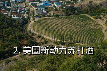 2. 美國新動力蘇打酒