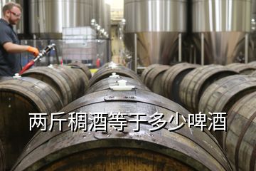 兩斤稠酒等于多少啤酒