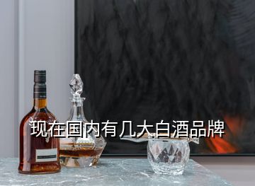 現(xiàn)在國內有幾大白酒品牌