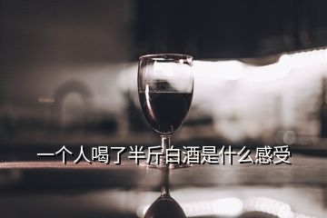 一個人喝了半斤白酒是什么感受