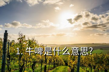 1. 牛啤是什么意思?