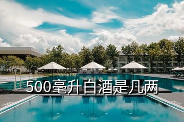 500毫升白酒是幾兩