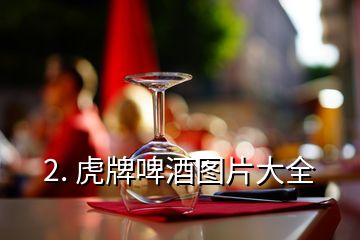 2. 虎牌啤酒圖片大全