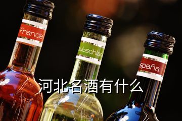 河北名酒有什么