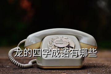 龍的四字成語有哪些