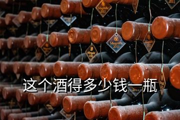 這個(gè)酒得多少錢(qián)一瓶