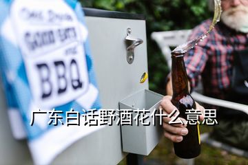 廣東白話野酒花什么意思