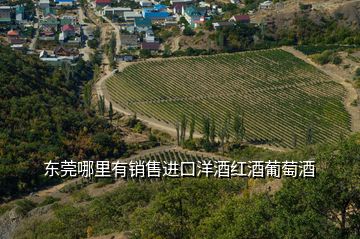 東莞哪里有銷售進(jìn)口洋酒紅酒葡萄酒