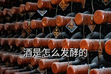 酒是怎么發(fā)酵的