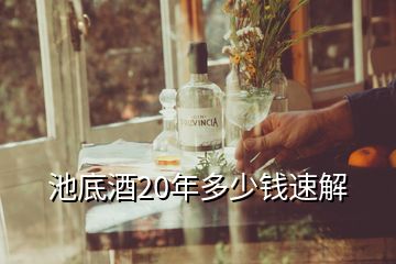 池底酒20年多少錢速解