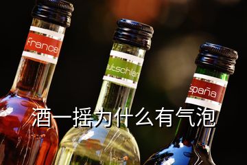 酒一搖為什么有氣泡