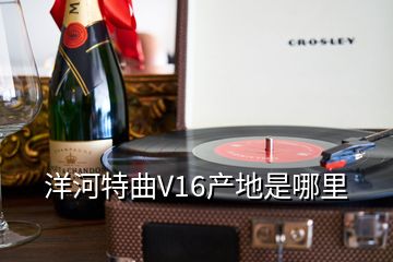 洋河特曲V16產(chǎn)地是哪里