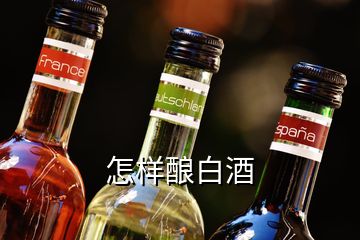 怎樣釀白酒