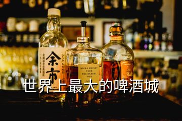 世界上最大的啤酒城