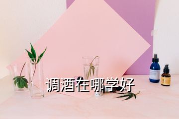 調(diào)酒在哪學(xué)好