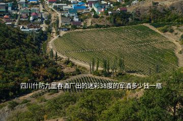 四川什防九里春酒廠出的迷彩38度的軍酒多少錢一瓶