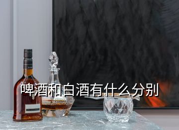 啤酒和白酒有什么分別