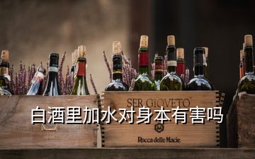 白酒里加水對(duì)身本有害嗎