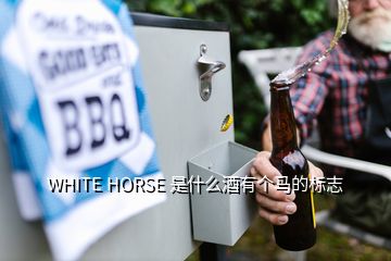 WHITE HORSE 是什么酒有個(gè)馬的標(biāo)志