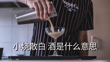 小燒散白 酒是什么意思