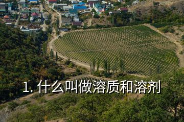 1. 什么叫做溶質(zhì)和溶劑