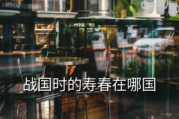 戰(zhàn)國時的壽春在哪國