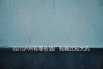 四川瀘州有哪些酒廠規(guī)模比較大的