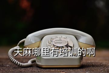 天麻哪里有培訓的啊