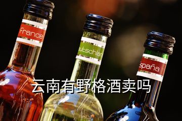 云南有野格酒賣嗎