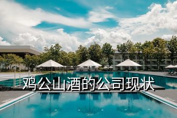 雞公山酒的公司現(xiàn)狀