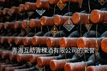 青海互助青稞酒有限公司的榮譽