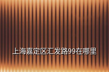 上海嘉定區(qū)匯發(fā)路99在哪里