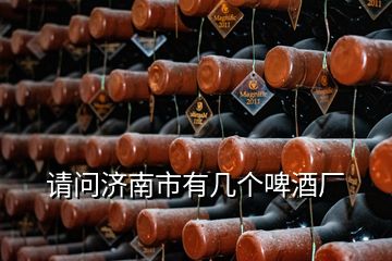 請(qǐng)問濟(jì)南市有幾個(gè)啤酒廠