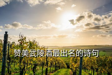 贊美武陵酒最出名的詩(shī)句