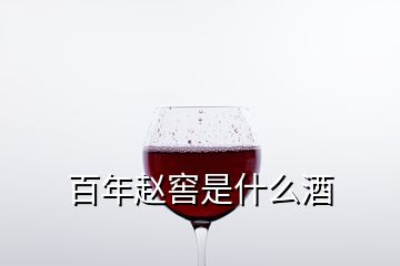 百年趙窖是什么酒