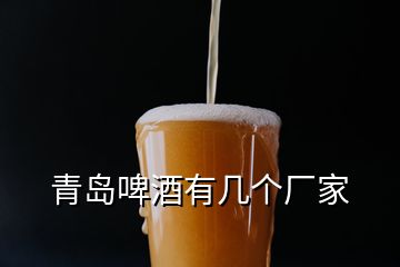 青島啤酒有幾個(gè)廠家